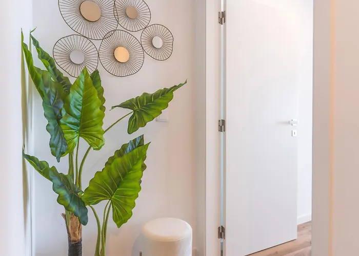 Mar By Atlantic * 卡马拉-德洛布什